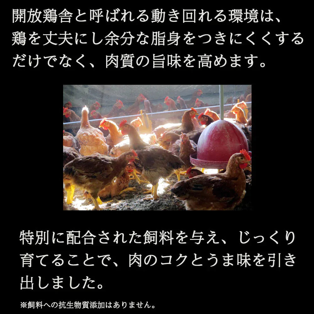 【送料無料 】伊達鶏の骨付きチキン 手羽から揚げ10ヶ入り5パック レンチン 簡単 フライドチキン 福島県産 国内製造 手羽唐 手羽揚げ 冷凍 唐揚げ から揚げ からあげ 骨付きチキン 骨付き肉 冷凍食品 お弁当 おつまみ おかず サイドメニュー