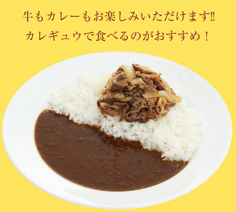 【20人シェア買いでお得】『カレギュウセット』牛めし×10、カレー×10
