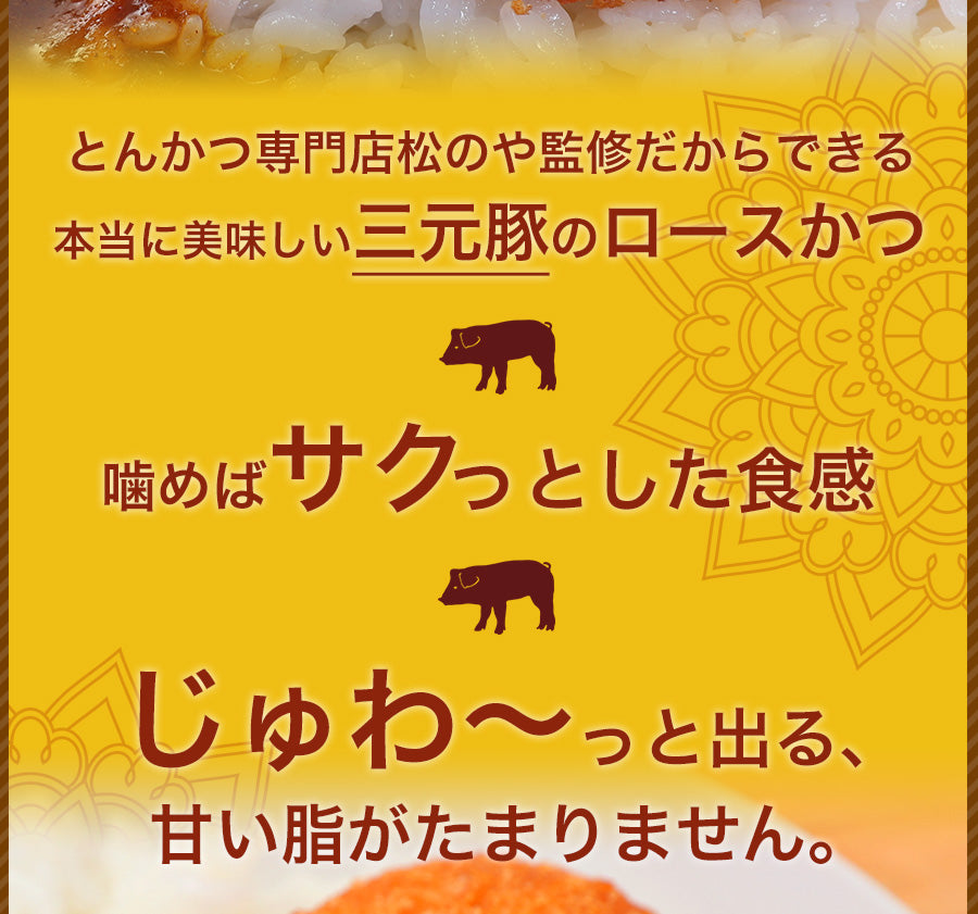 カツカレーセット（カツ15枚とオリジナルカレー15個）