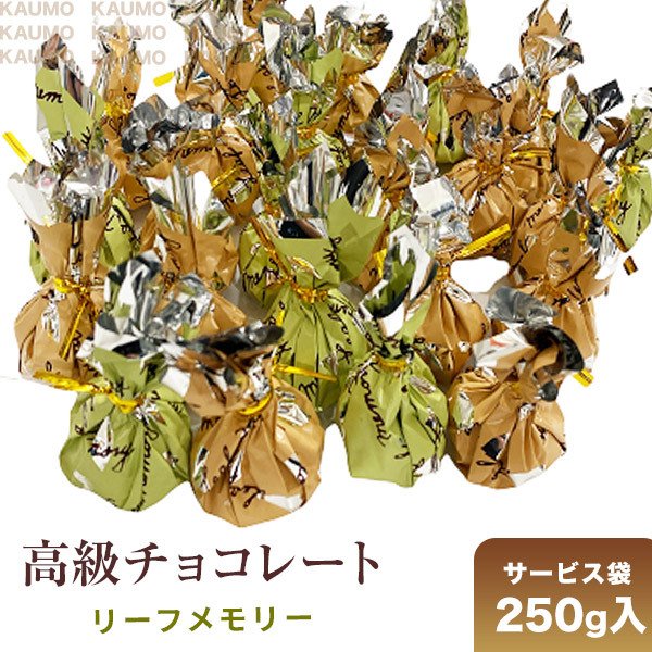 【クール便】250g モンロワール チョコレート リーフメモリー
