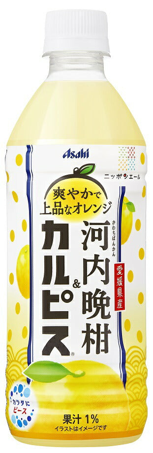 【送料無料】アサヒ飲料 愛媛県産河内晩柑&カルピス500ml×1ケース/24本