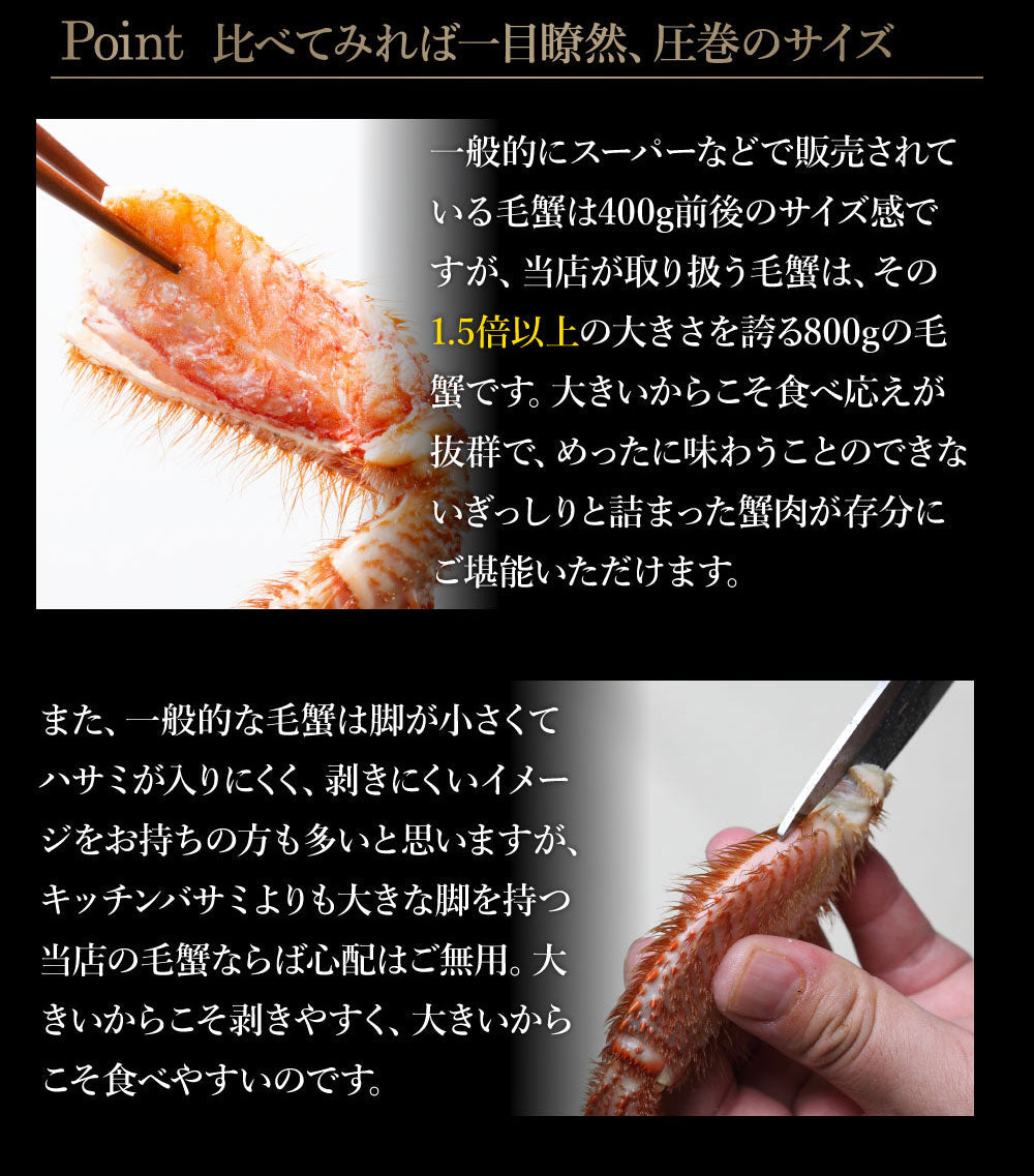 身入り抜群！特大毛蟹1尾で800g