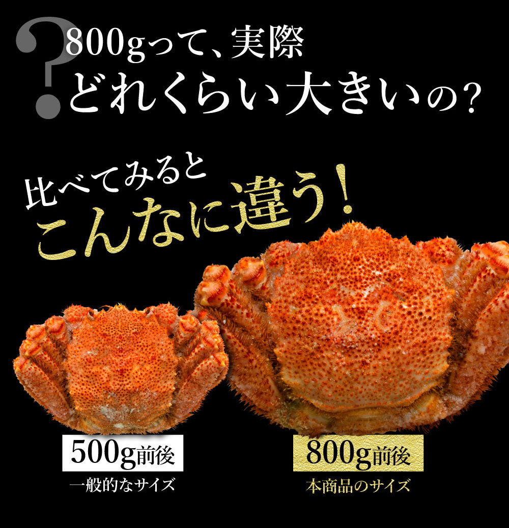 身入り抜群！特大毛蟹1尾で800g