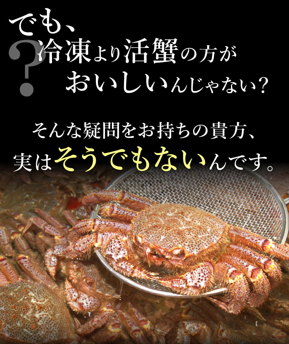 身入り抜群！特大毛蟹1尾で800g