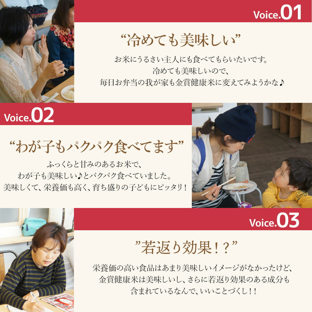米 山形県産 金賞健康米 はえぬき 20kg (5kg×4) 令和5年産 新米 お米 白米 おくさま印 国産 食品 ギフト 引っ越し 挨拶 出産 内祝い 母の日 父の日 お中元 お歳暮 結婚 快気 還暦 香典返し お年賀 送料無料