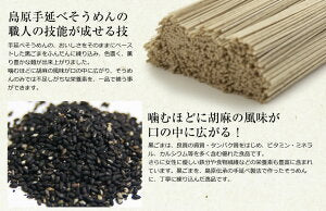 そうめん 送料無料 島原手延べそうめん 黒ごまそうめん 40束入（50g×40束）