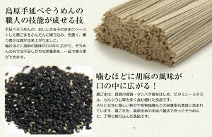 島原手延べそうめん 黒ごまそうめん お試し8束 (黒ゴマそうめん)