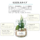 【61021.Bタイプ】 観葉植物 フェイクグリーン 通販 おしゃれ 小さい CT触媒 消臭アーティフィシャルグリーン ECLIA エクリア インテリアグリーン ラウンドポット キャニスター インテリア 人工植物