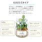 【61021.Bタイプ】 観葉植物 フェイクグリーン 通販 おしゃれ 小さい CT触媒 消臭アーティフィシャルグリーン ECLIA エクリア インテリアグリーン ラウンドポット キャニスター インテリア 人工植物