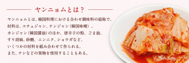 100g×6袋【冷凍】冬眠甘口キムチ