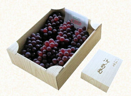 【フルーツ ぶどう ブドウ 送料無料】山梨県 ＪＡフルーツ山梨 組合長推奨 ハウス栽培 キングデラ最高品質 約1kg 5房～6房 化粧箱ＪＡフルーツ山梨から産地直送【果物 贈答品 ギフト】