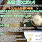 【送料無料】【もち麦】キラリフーズ 広島県 安芸高田産 特選もち麦 キラリモチ 1キロ×5袋