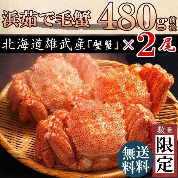 480g×2 毛ガニ 北海道産 毛蟹