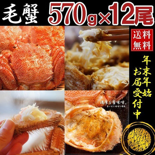 570g×12 毛ガニ 北海道産 毛蟹