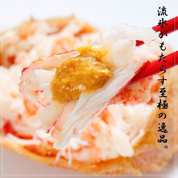 1kg×3 毛ガニ 北海道産 毛蟹