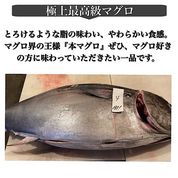 本マグロ 赤身 800g