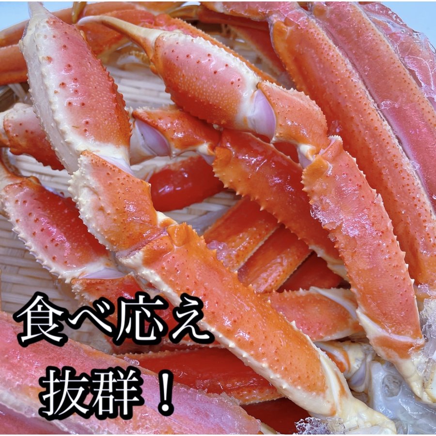ズワイガニ 2㎏ ５肩 北海道