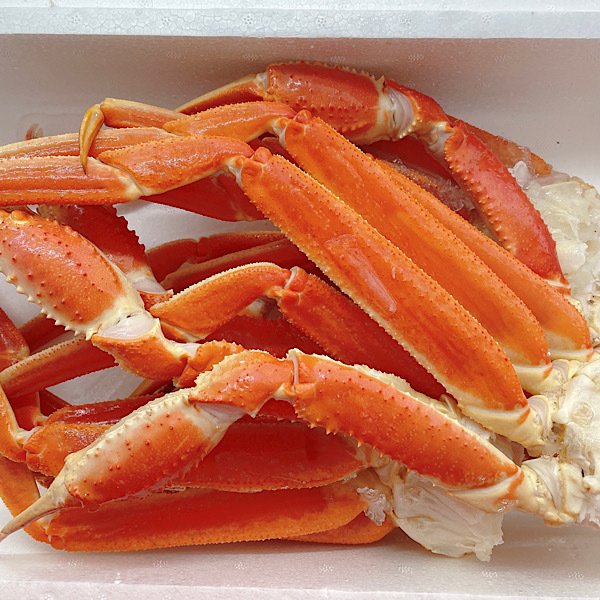 ズワイガニ 2㎏ ５肩 北海道