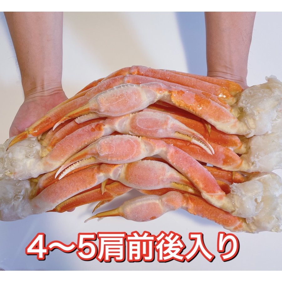 ズワイガニ 2㎏ ５肩 北海道