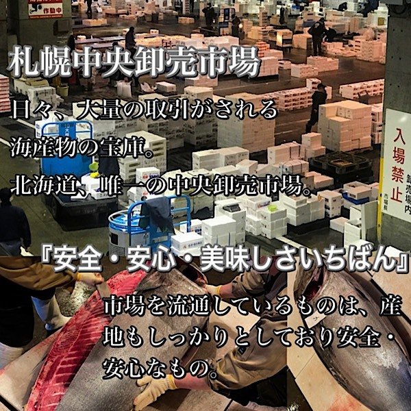 ズワイガニ 2㎏ ５肩 北海道