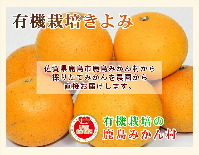 【フルーツ みかん 有機栽培 きよみ】佐賀県 鹿島市 有機みかん佐藤農場有機栽培 きよみ 2.5kg採りたてを農園から産地直送 送料無料【ミカン 果実 ギフト 無農薬栽培】