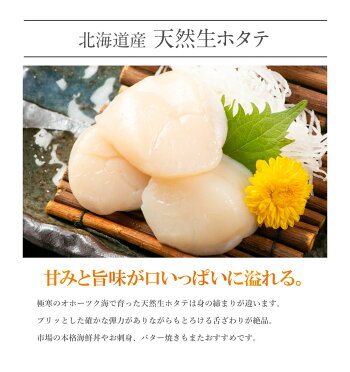 海鮮グルメセット-絆-