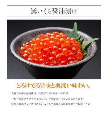 海鮮グルメセット-絆-