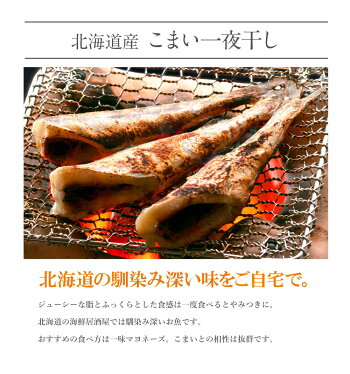 海鮮グルメセット-絆-