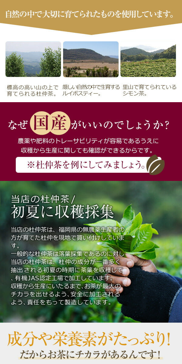 ダイエットサポートティー からだきれい茶　ティーバッグ 3g×25包 【送料無料】 ダイエット茶 ダイエットティー 食物繊維 ブレンド茶 健康茶 国産茶配合 玄米茶 プーアル茶 はとむぎ茶 ルイボスティー 烏龍茶 グアバ茶 ゴーヤ茶