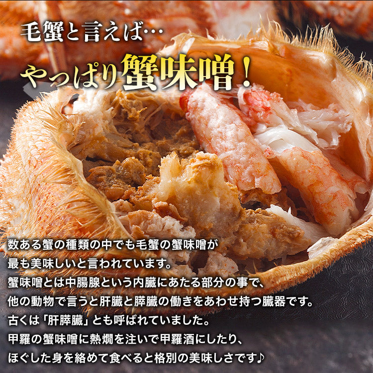 【数量限定】幻の巨大毛ガニ1尾約1ｋg 送料無料 《※冷凍便》 _姿_蟹 お取り寄せグルメ 食品 ギフト