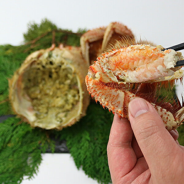 毛ガニ 超特大1尾 約1.1kg?1.3kg ロシア産 ( 毛蟹 けがに ケガニ 毛ガニ かに カニ 蟹 ) 見舞い 送料無料 冷凍便 お取り寄せグルメ 食品 ギフト