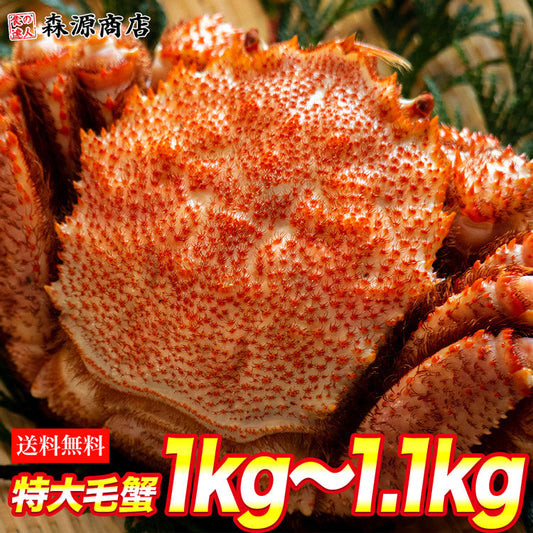 ロシア産 毛ガニ1尾 約1kg?1.1kg 送料無料 お取り寄せグルメ 食品 ギフト