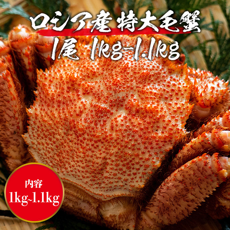 ロシア産 毛ガニ1尾 約1kg?1.1kg 送料無料 お取り寄せグルメ 食品 ギフト