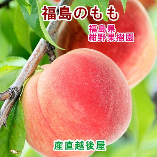 【フルーツ 福島県 もも 桃】福島県飯坂町 紺野観光果樹園樹上完熟のもも ゆうぞら桃2kg（6個～７個専用箱入10個限定販売 送料無料【果物 贈答品 ギフト プレゼント】