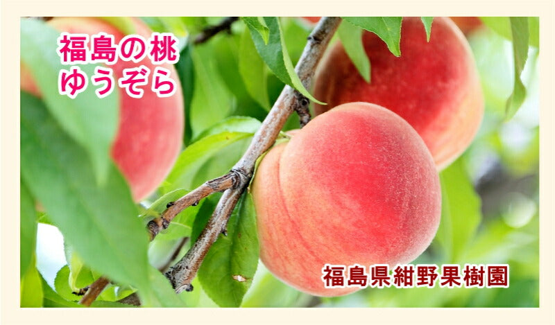 【フルーツ 福島県 もも 桃】福島県飯坂町 紺野観光果樹園樹上完熟のもも ゆうぞら桃2kg（6個～７個専用箱入10個限定販売 送料無料【果物 贈答品 ギフト プレゼント】