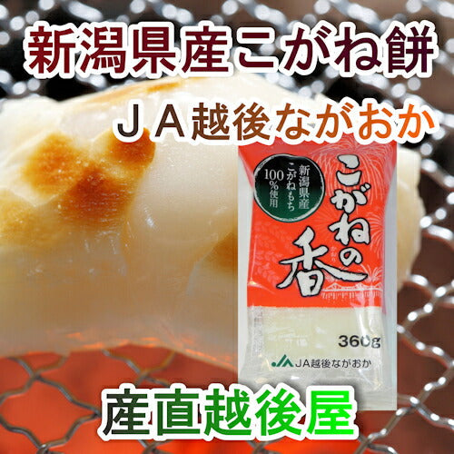 【送料込み】新潟県 JA越後ながおか農協産杵つきこがね餅 360g(8枚入)合計3パック