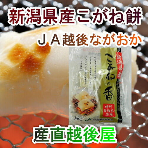 【送料込み】新潟県 JA越後ながおか農協産杵つきこがね餅 360g(8枚入)合計3パックシングルパック包装