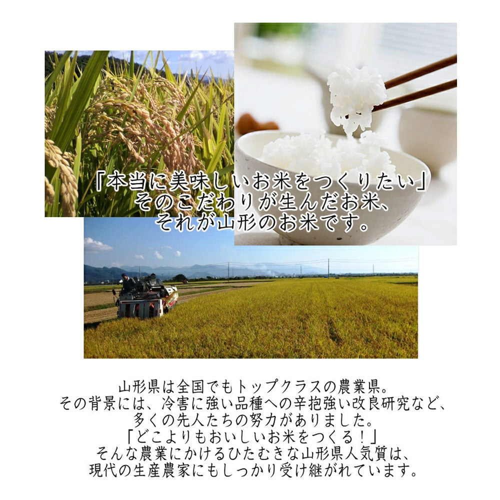 白米 10kg (5kg×2袋) 米屋仕立て 国内産 送料無料 10キロ 米 こめ コメ お米 精米