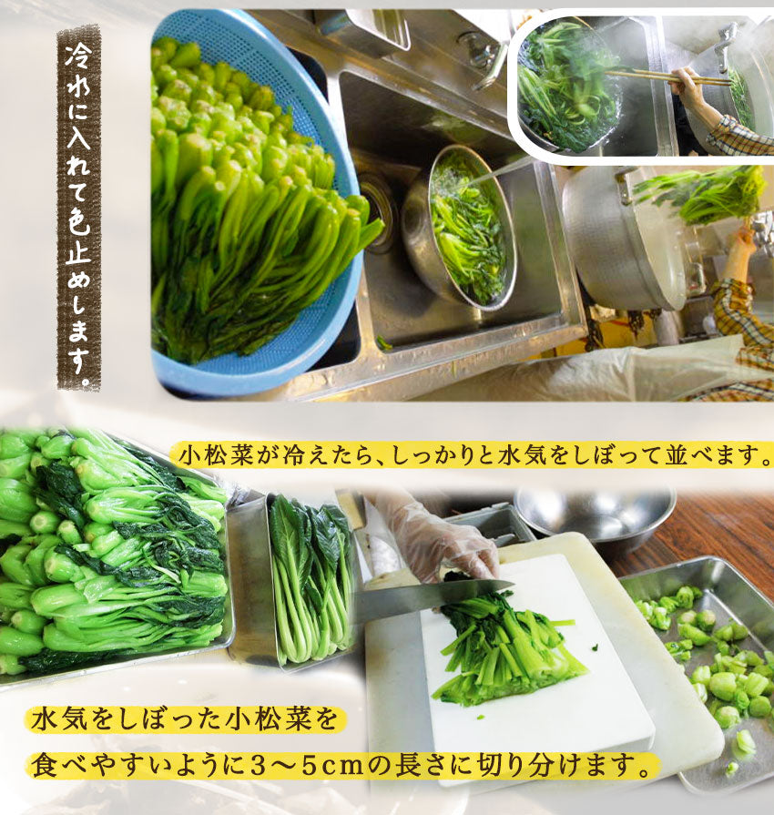 小松菜のおひたし(10パック)