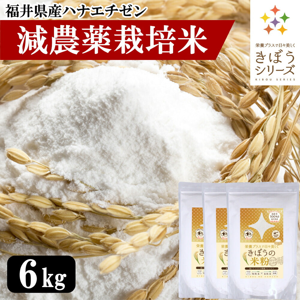 米粉 減農薬栽培米 国産 福井県産 6kg （2kg×3袋） パン用 お菓子用 料理用 吸水量低い 超微粉 短粒種と長粒種のブレンドミックス 無添加 米粉パン グルテンフリー 業務用 大容量 きぼうの米粉 こめ粉 米粉パウダー ライスパウダー クッキー うどん パンケーキ