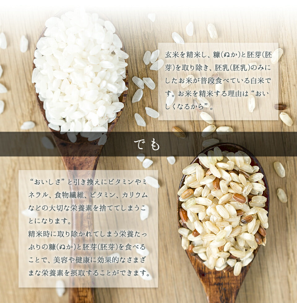 食べる米ぬか 2400ｇ(100g×24袋) 農薬化学肥料不使用 有機JAS認証 米麹入り 米ぬか 焙煎＜玄米パウダー 米ぬかパウダー 食用 食べるぬか いりぬか 煎りぬか 食べる 米ぬか 無農薬 米ぬか 米糠 粉末 焙煎 有機栽培 おすすめ ギフト＞