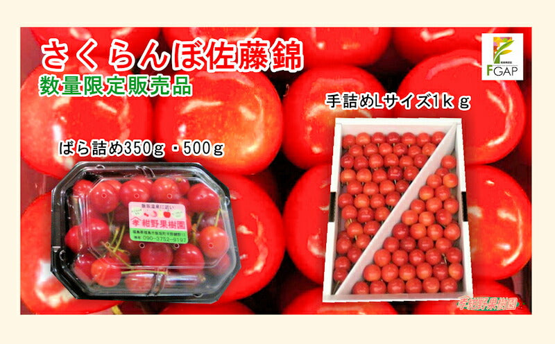 【フルーツ 福島県 さくらんぼ 佐藤錦】福島県飯坂町 紺野観光果樹園樹上完熟さくらんぼ 佐藤錦手詰め L サイズ 1kg 専用箱入10個限定販売 送料無料【果物 贈答品 ギフト プレゼント】