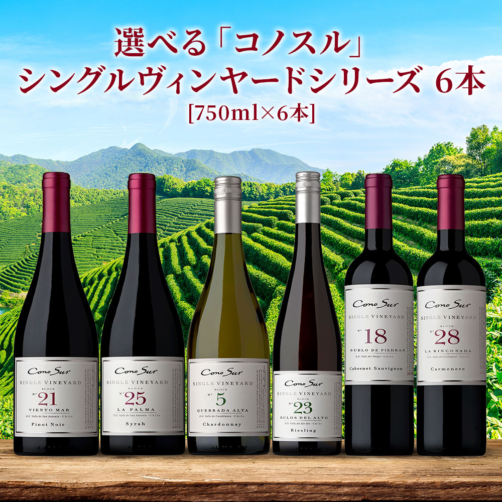 【送料無料】  選べる「コノスル」 シングルヴィンヤードシリーズ 6本[750ml×6本]【北海道・東北・九州・四国・沖縄県は必ず送料がかかります】 ワイン ワインセット