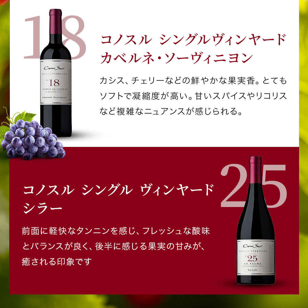 【送料無料】  選べる「コノスル」 シングルヴィンヤードシリーズ 6本[750ml×6本]【北海道・東北・九州・四国・沖縄県は必ず送料がかかります】 ワイン ワインセット