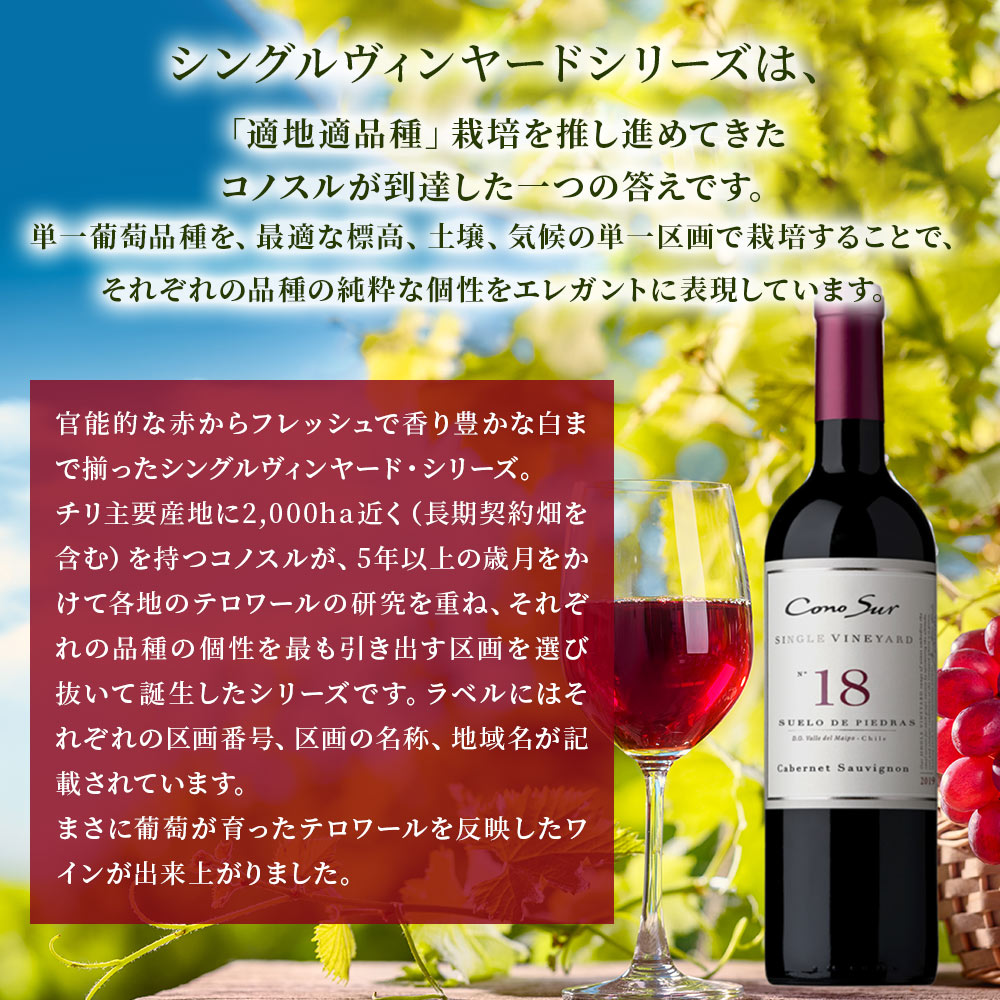 【送料無料】  選べる「コノスル」 シングルヴィンヤードシリーズ 6本[750ml×6本]【北海道・東北・九州・四国・沖縄県は必ず送料がかかります】 ワイン ワインセット