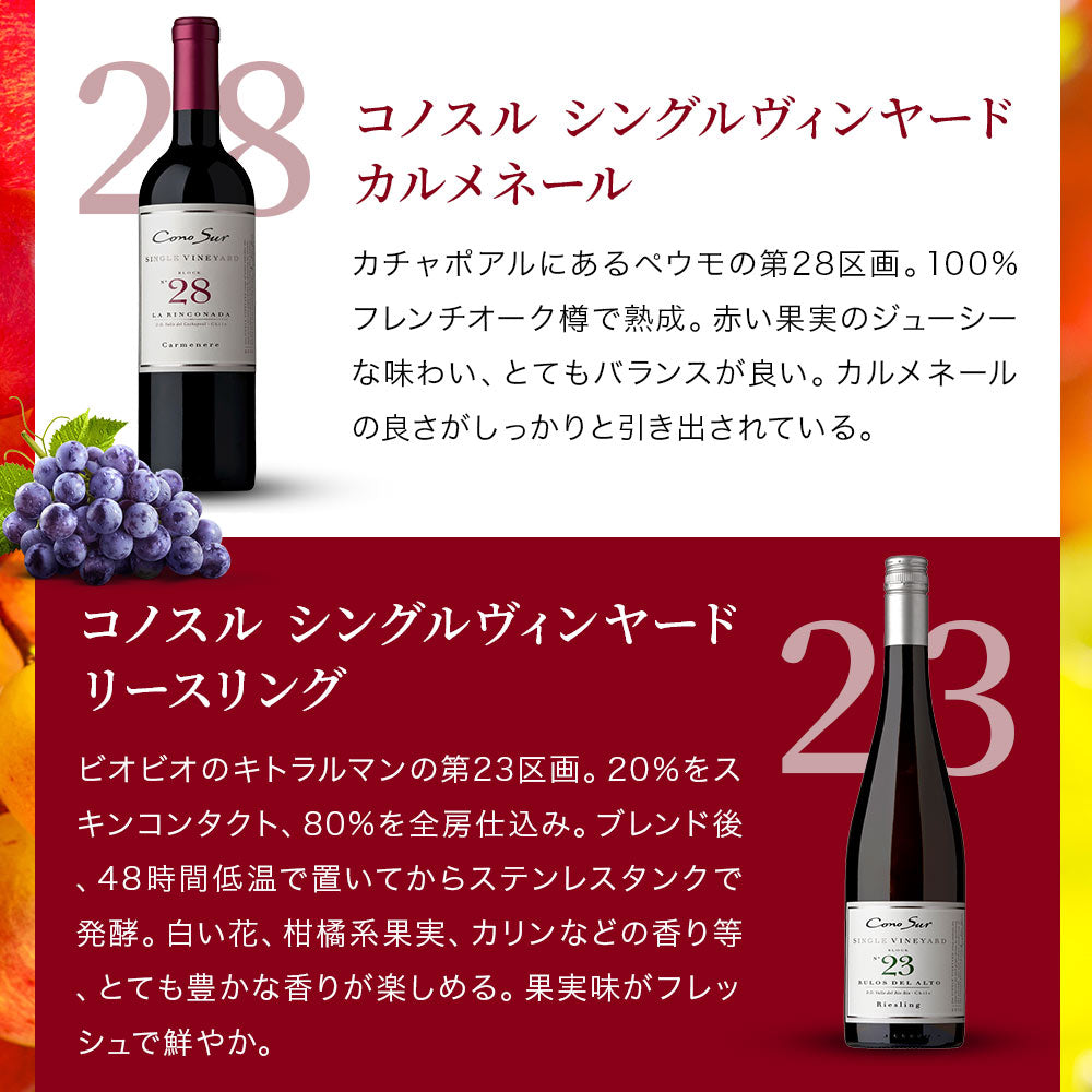 【送料無料】  選べる「コノスル」 シングルヴィンヤードシリーズ 6本[750ml×6本]【北海道・東北・九州・四国・沖縄県は必ず送料がかかります】 ワイン ワインセット
