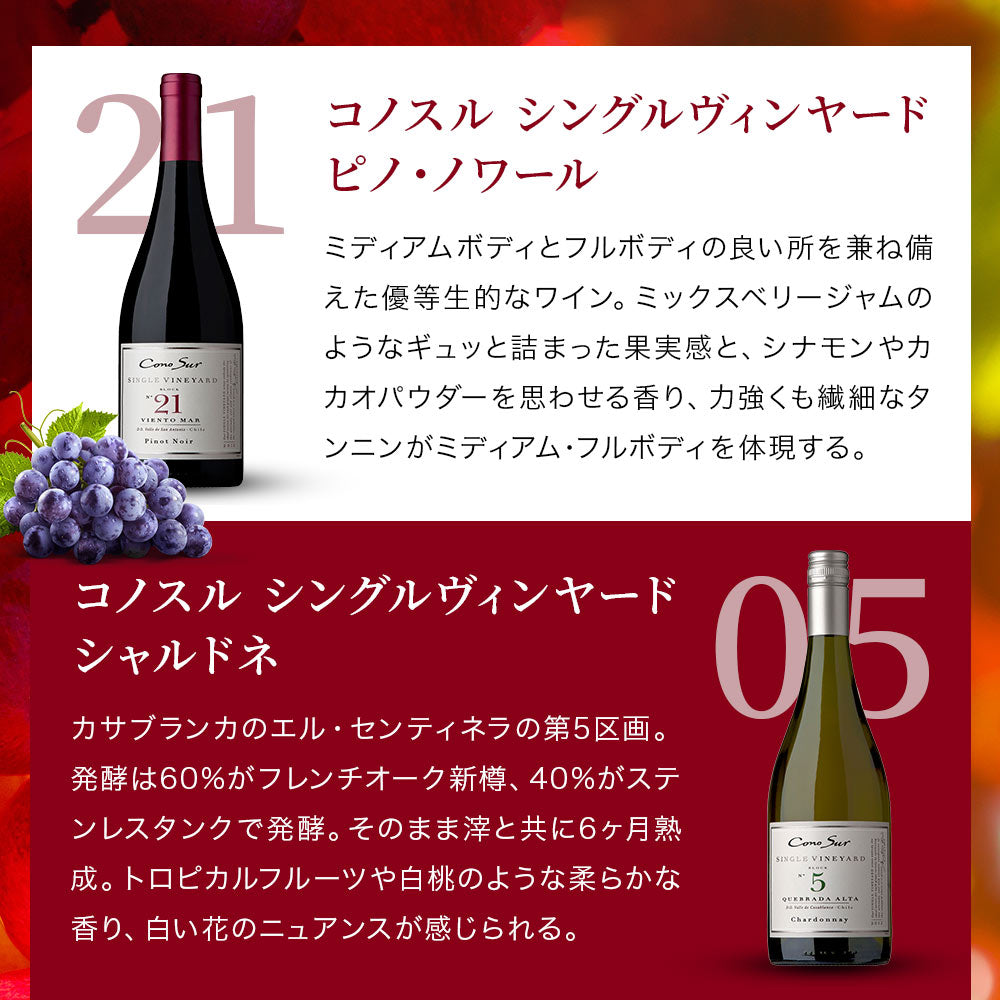【送料無料】  選べる「コノスル」 シングルヴィンヤードシリーズ 6本[750ml×6本]【北海道・東北・九州・四国・沖縄県は必ず送料がかかります】 ワイン ワインセット