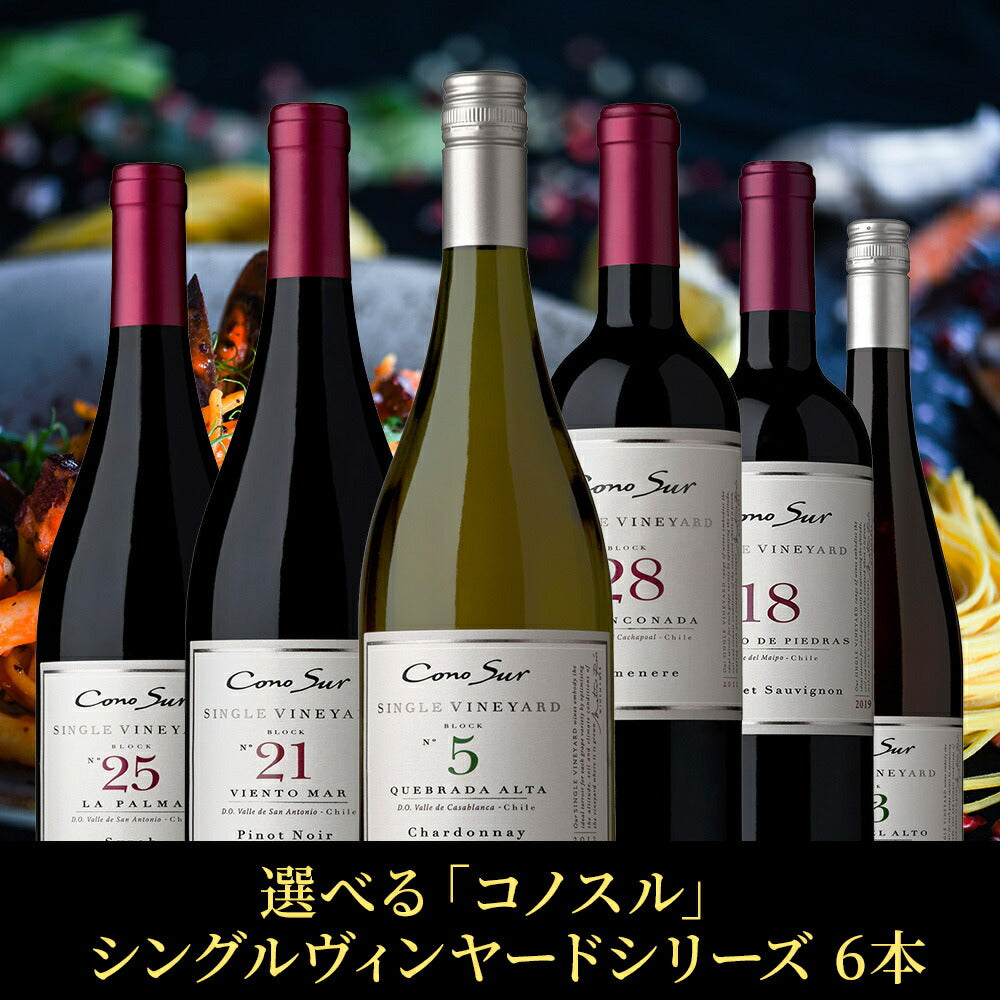 【送料無料】  選べる「コノスル」 シングルヴィンヤードシリーズ 6本[750ml×6本]【北海道・東北・九州・四国・沖縄県は必ず送料がかかります】 ワイン ワインセット