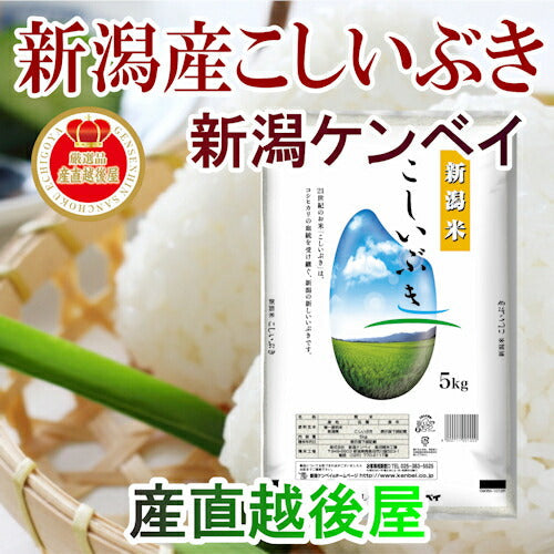 【送料込み】令和５年産 新潟県産 こしいぶき20kgＪＡ農協米 新潟ケンベイ産