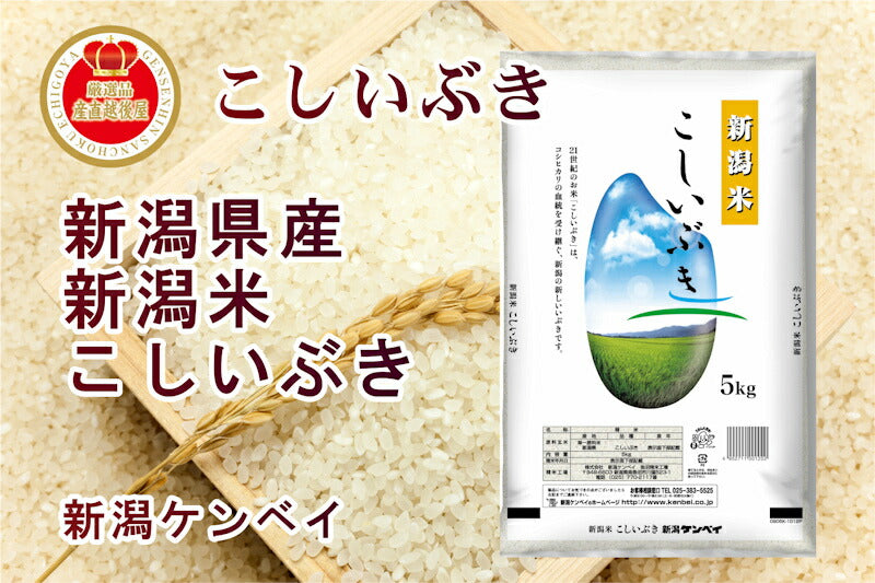 【送料込み】令和４年産 新潟県産 こしいぶき30kgＪＡ農協米 新潟ケンベイ産